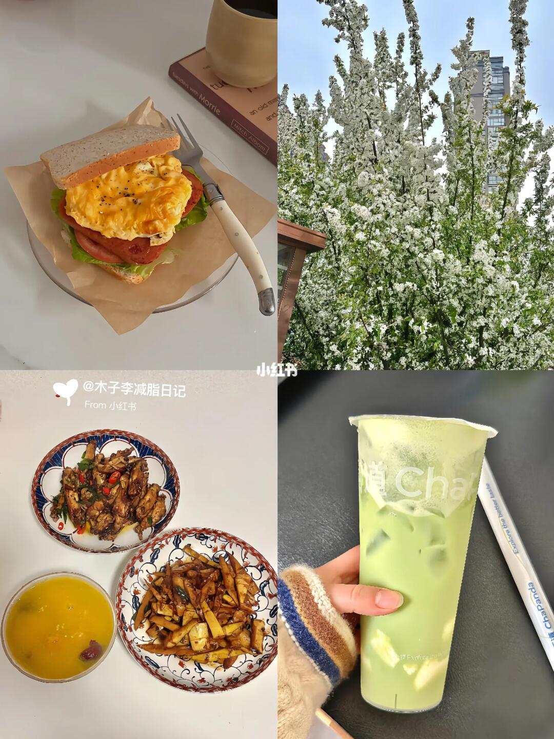 减肥，少吃真的能瘦