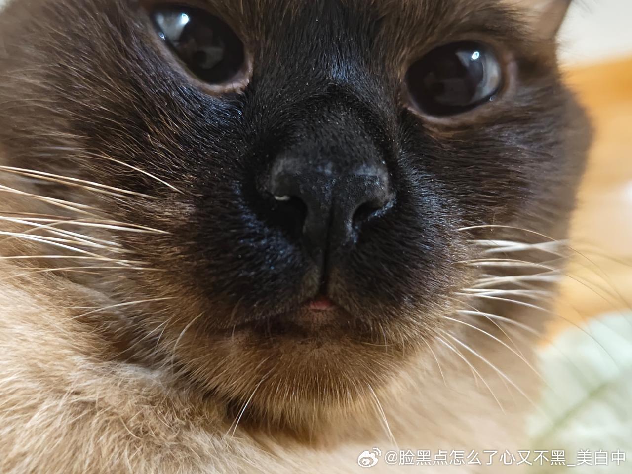早安逼罗 ​​​