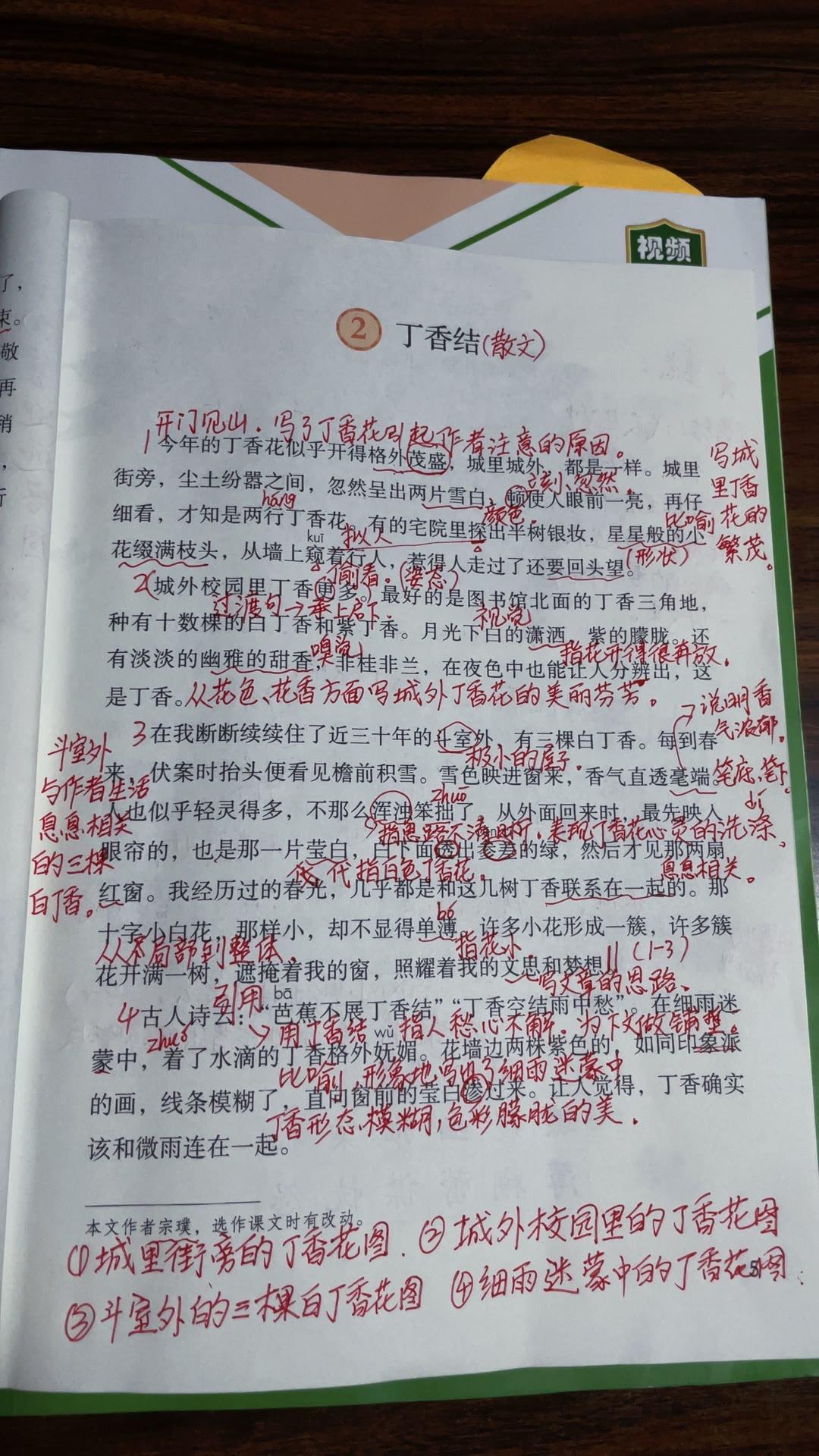 六年级语文上册：第2课《丁香结》课文重点笔记，五升六的同学们，一定要认真去吃透了！