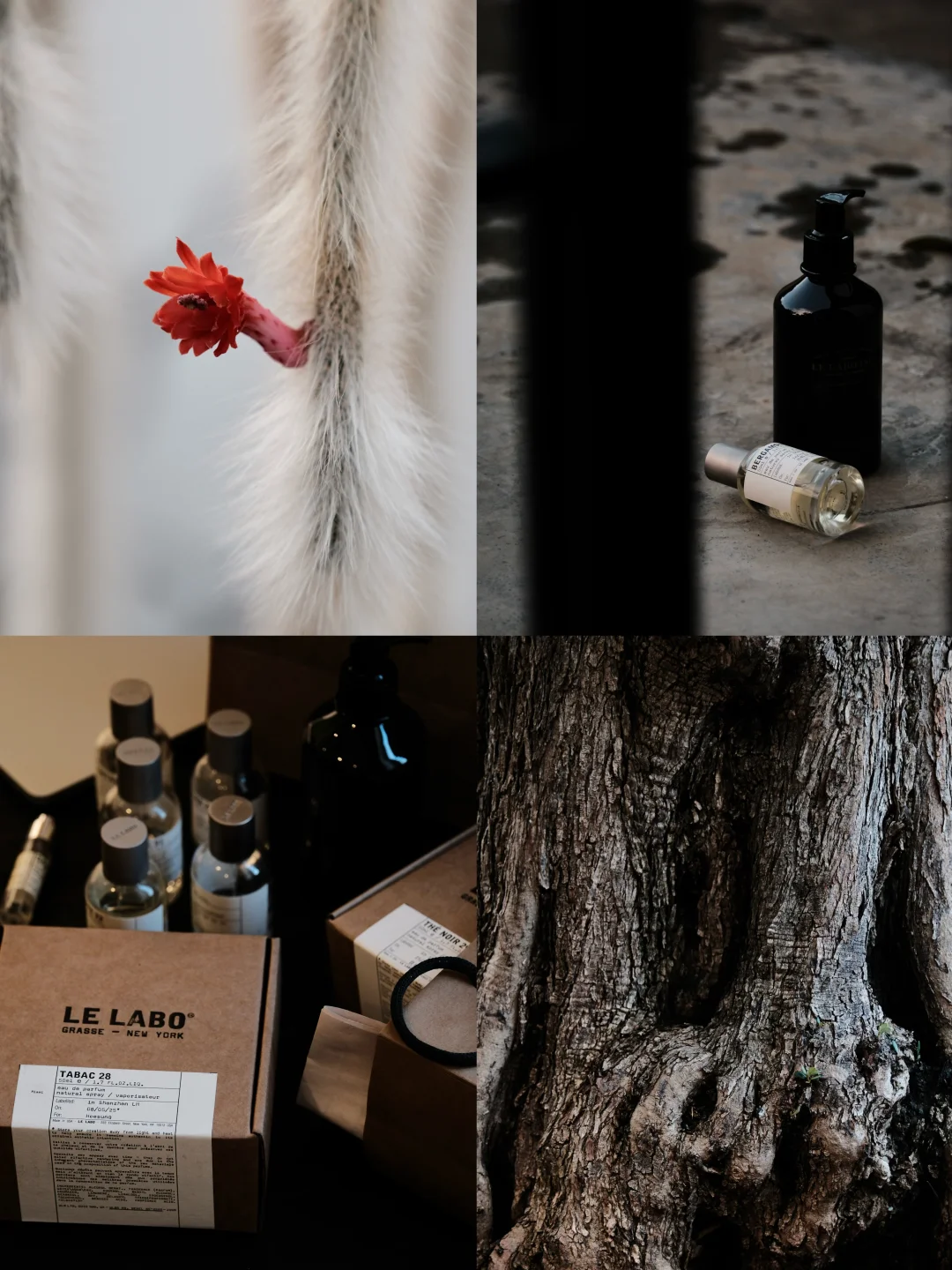 “ 季节轮换交替 总有新的故事值得期盼 ”