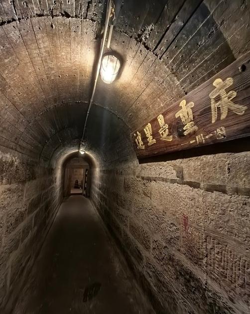 2007年，重庆李子坝，一只猫从屋顶失足跌落，意外摔出一个惊天秘密，地下33米深