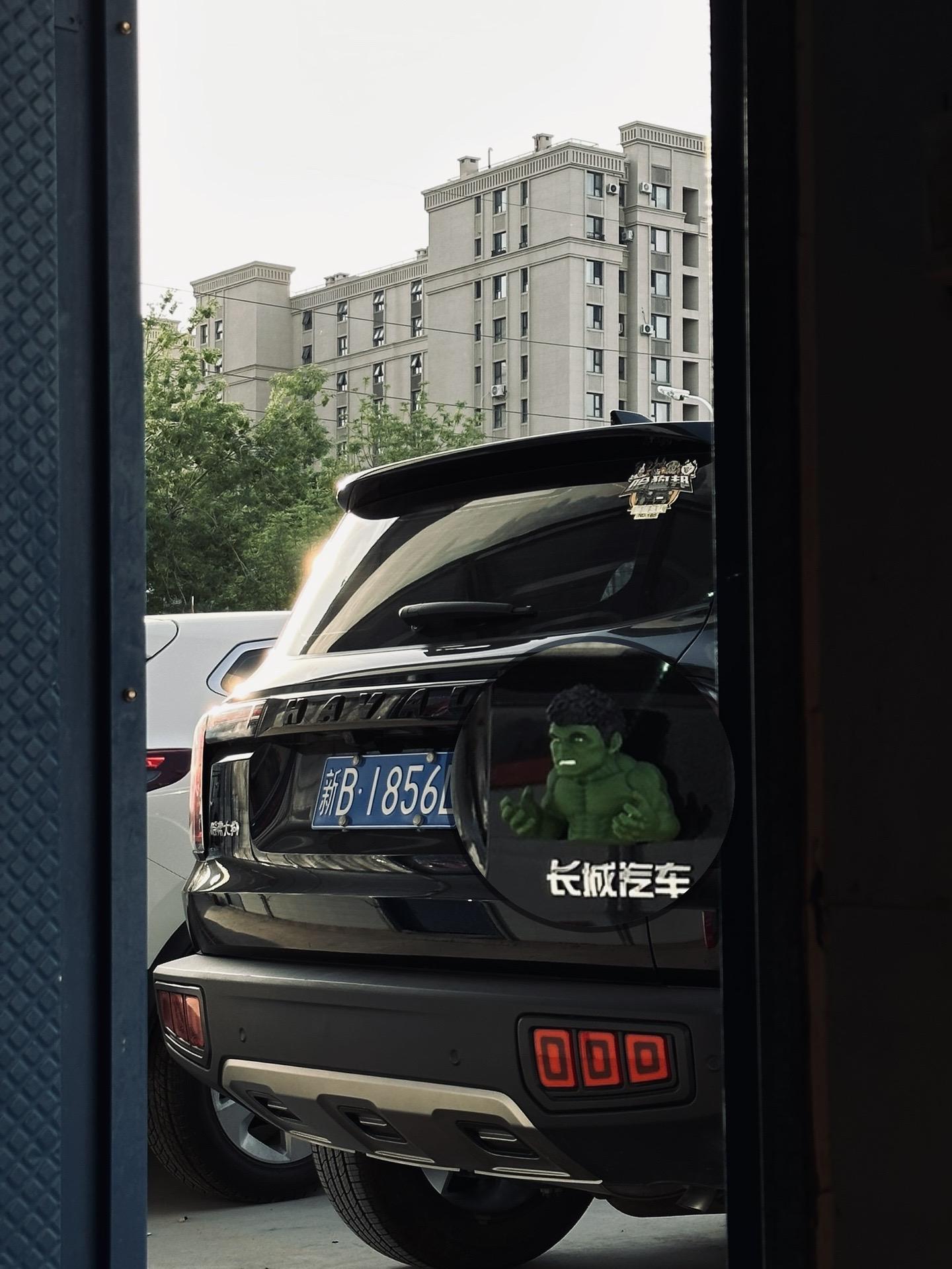 哈弗大狗 哈弗大狗颜值比拼