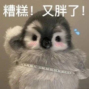 表情包丰富一下 