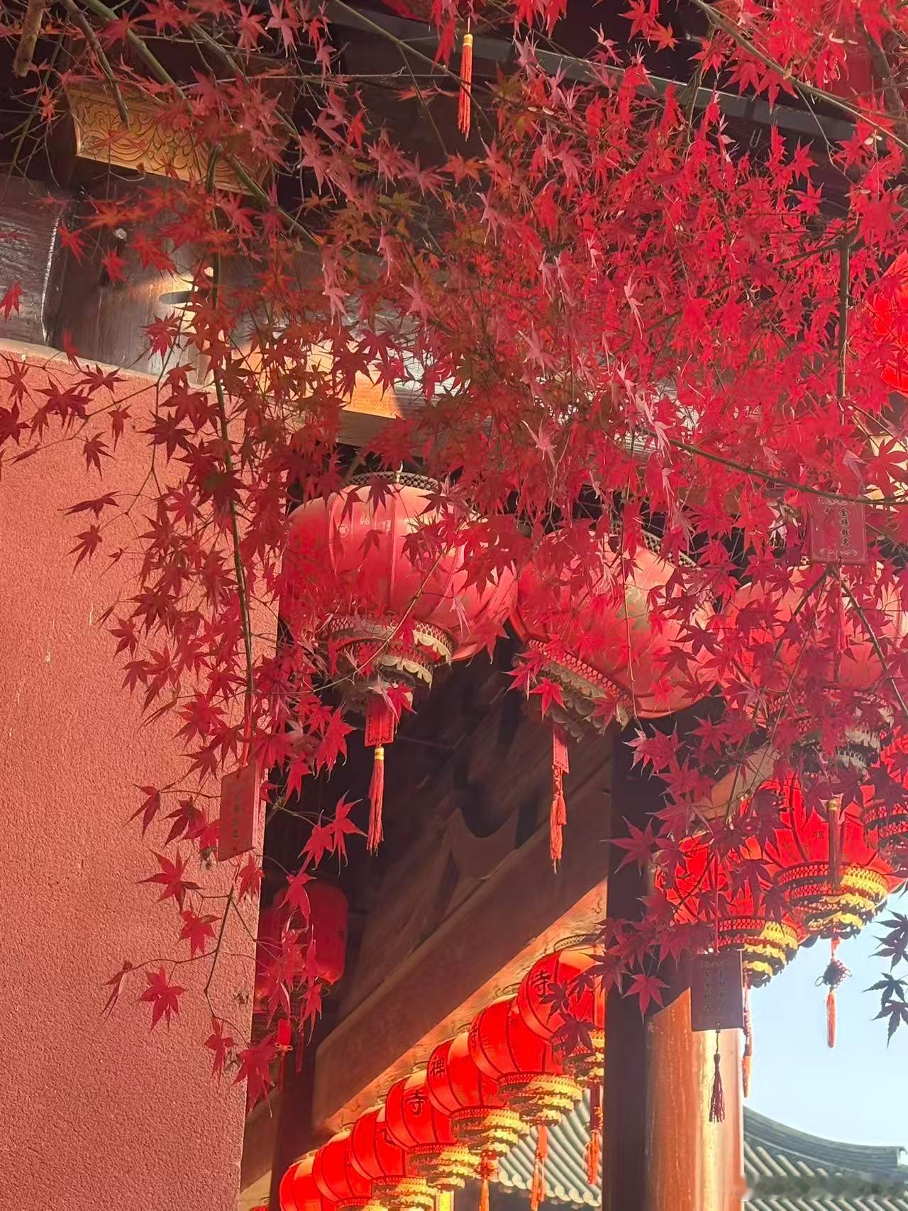 你能包容一个人，一个人就是你的。包容一个团体，团体就是你的。包容一个国家，国家就