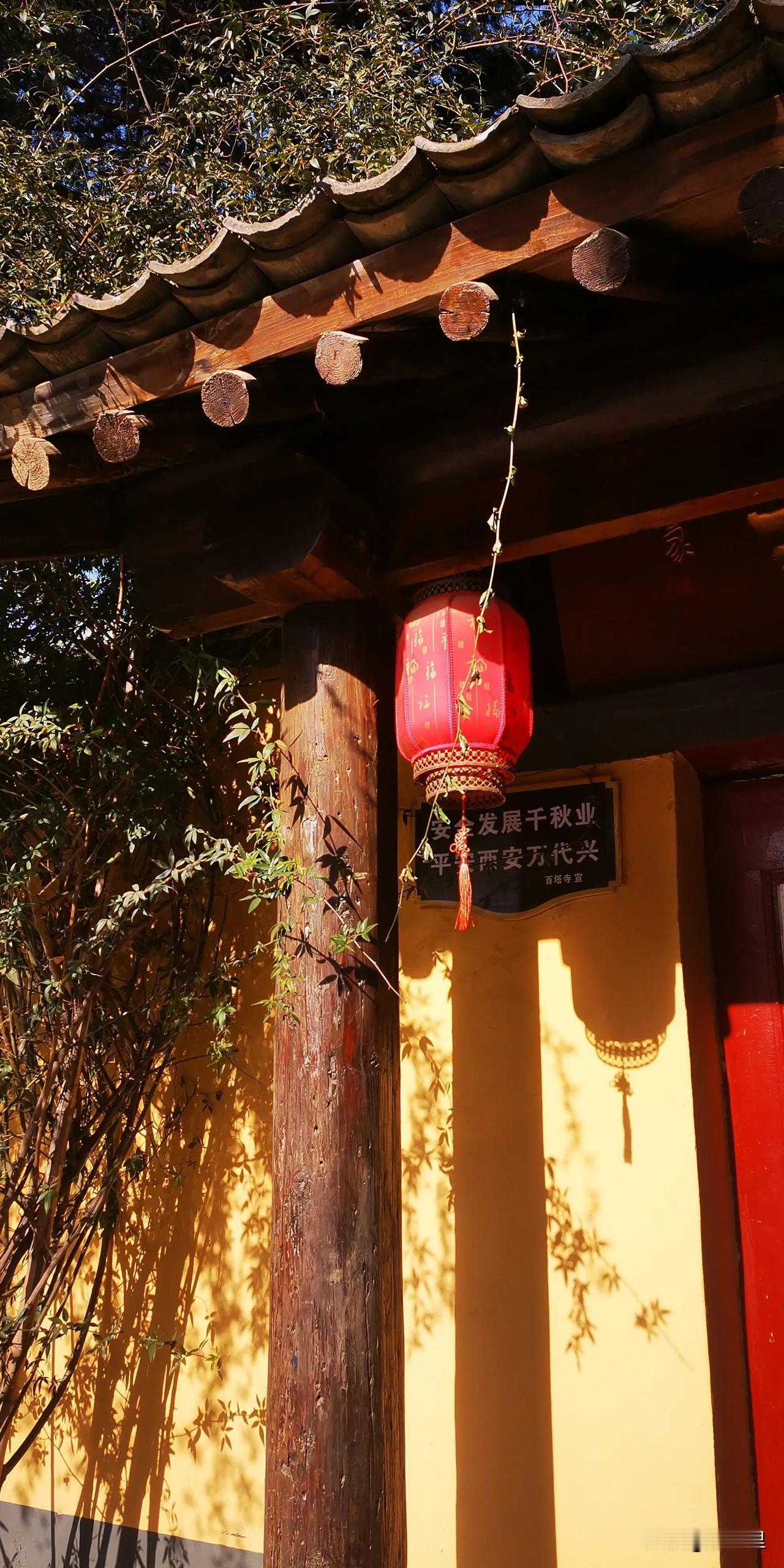 冬天的蓝天格外纯粹，纯粹的太阳那么刺眼，却不够热，风是那么轻，却能把脸刮的生疼，