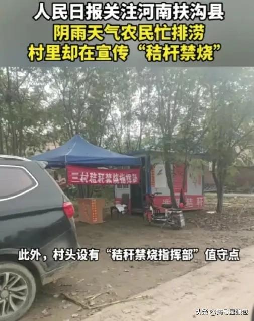 这下不仅河南人民知道了，全国网友都知道了！近日，河南扶沟县，秋汛刚过，地里全是水