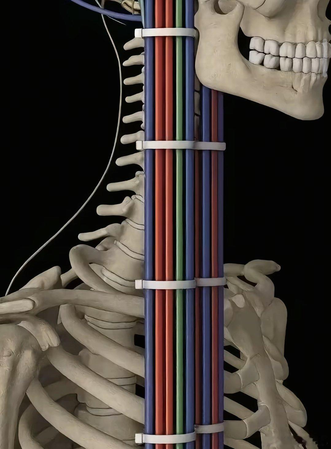 如果女娲是电工，病毒狂喜，简直这就是高速公路因为女娲不是个好电工 ​​​