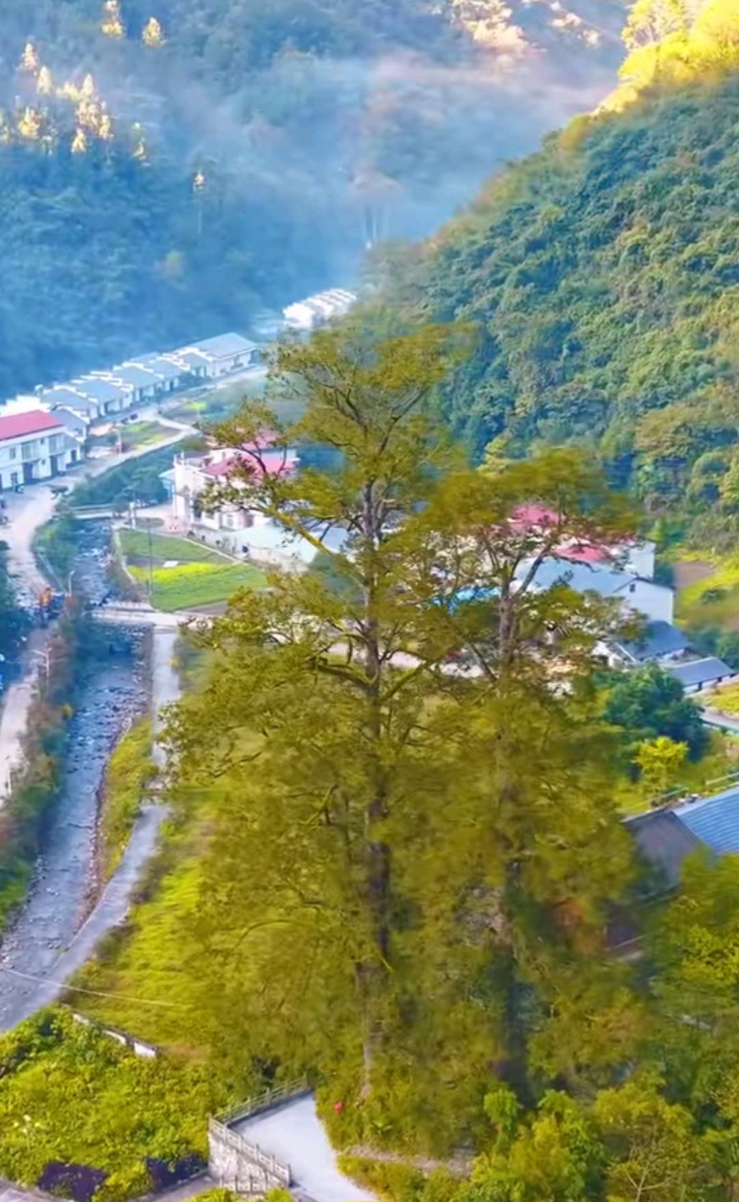 分享一张自然风景的照片，