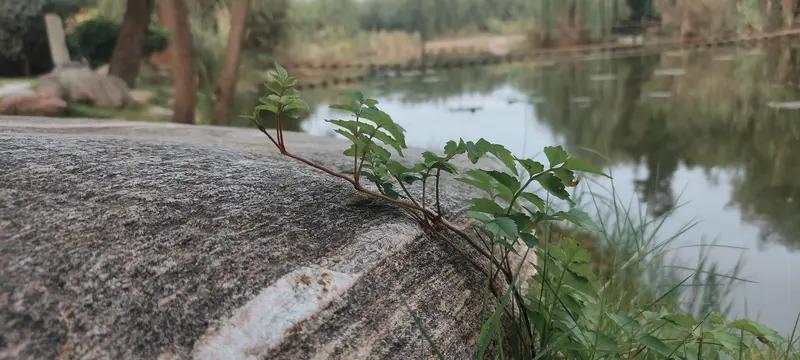 一个人在逆境时的坎坷程度，真的难以想象。就像职场里，有人好不容易入职，却遭遇公司