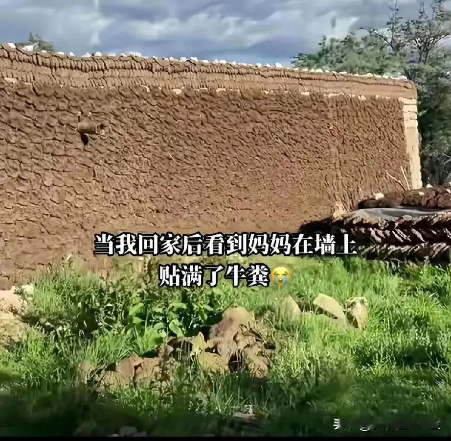 听说，用干牛粪烤出来的牛羊肉味道，吃起来才正宗！

咱们连正宗的烤肉都吃不上，还