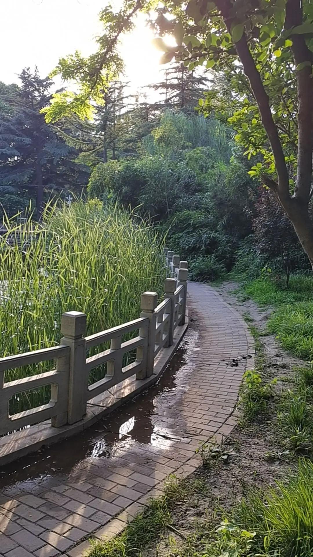 公园