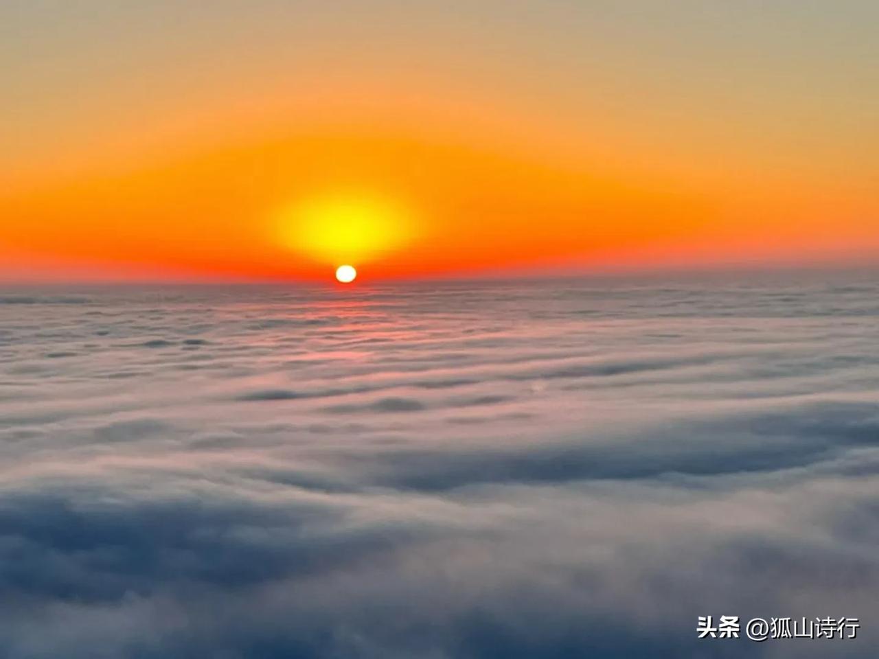 早春的气息  〔文｜狐山诗行〕

早春的风，带着清浅的声音
掠过原野，草尖刚冒头