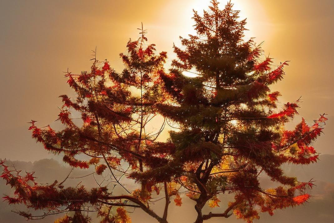 现在的市场，筹码博弈氛围非常浓厚，上半场和下半场的交接处，量化似乎开启了收割模式