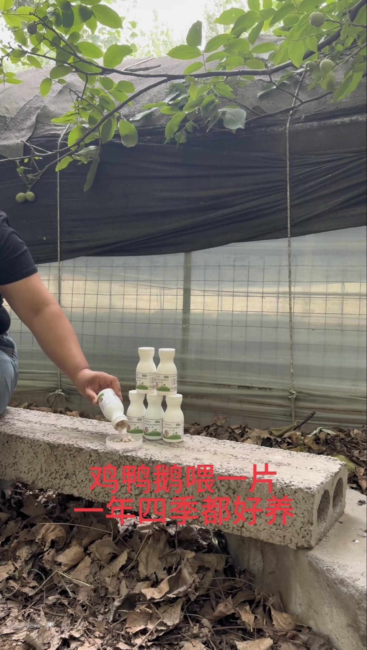 都在喂这一片，一年四季没烦恼