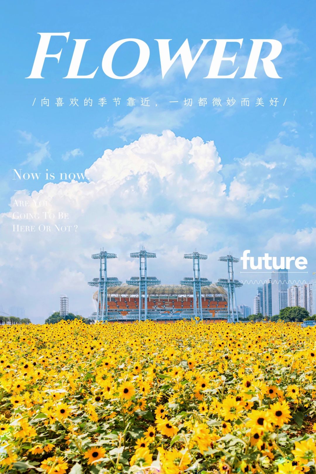 发现好大一片向日葵🌻 🌻地铁直达玩一天！