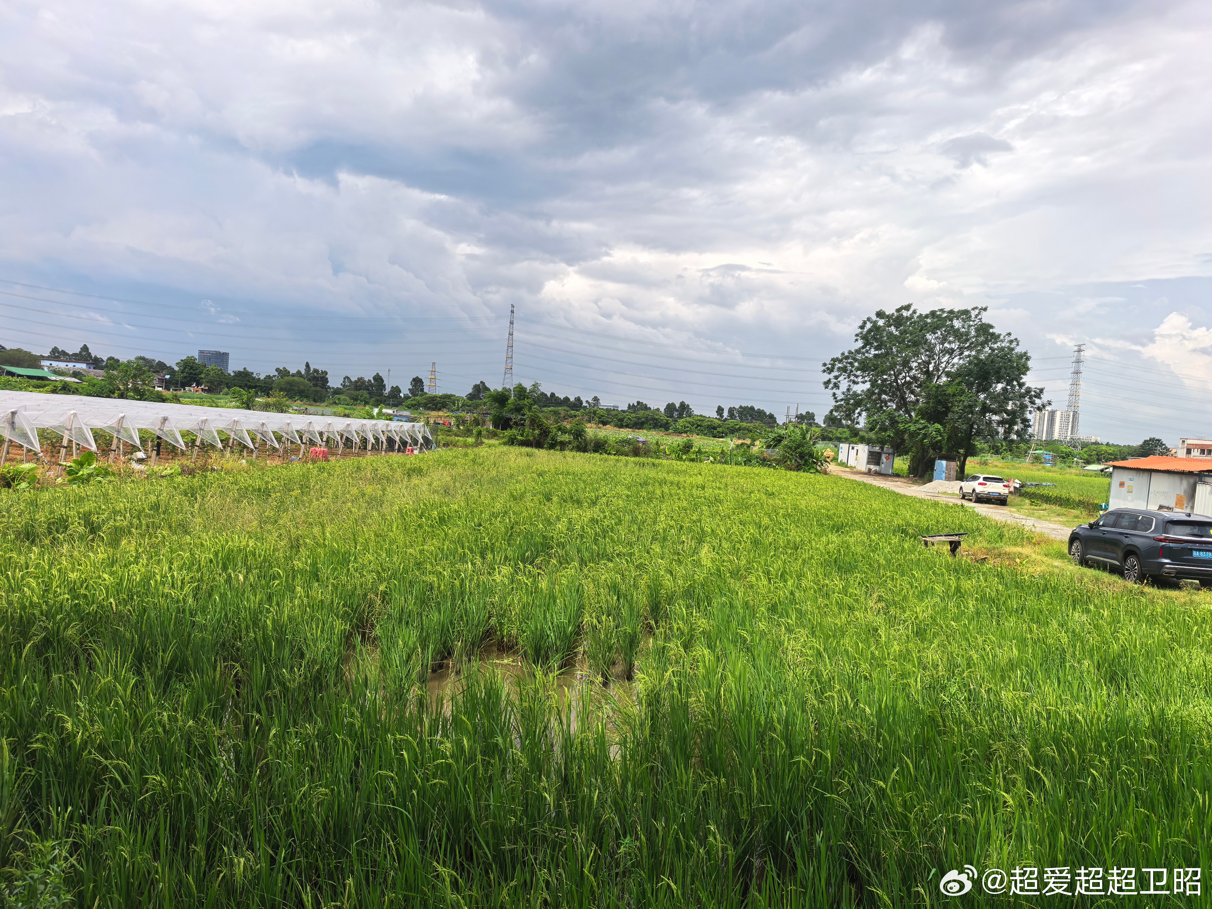 阳光信用 ①☀️极好 764，🉑蹭  ，🈲快🧱②与极好的人hu动或🧱👍