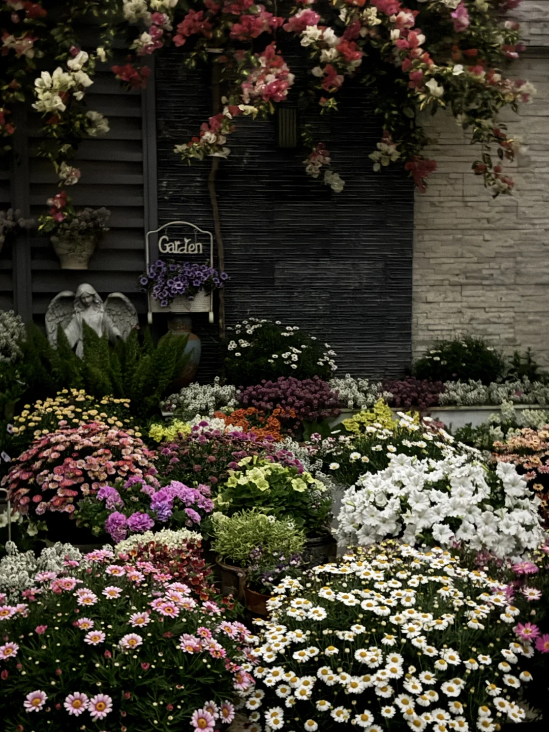 我左看右看上看下看，原来每朵花都不简单！