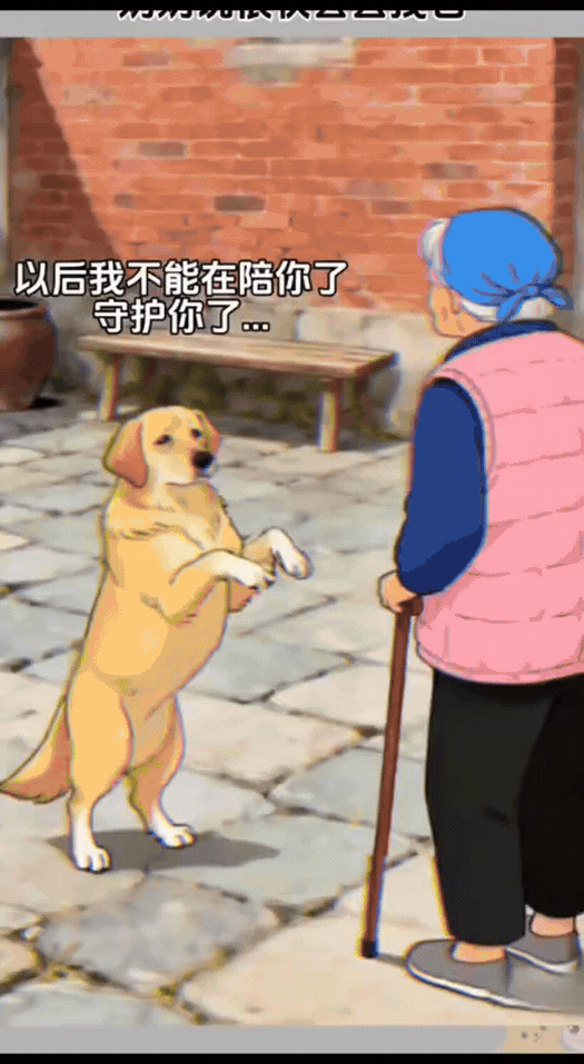 破防！监控拍下最催泪的告别：狗狗大限将至，拼尽最后力气，来跟主人做最后的道别😭