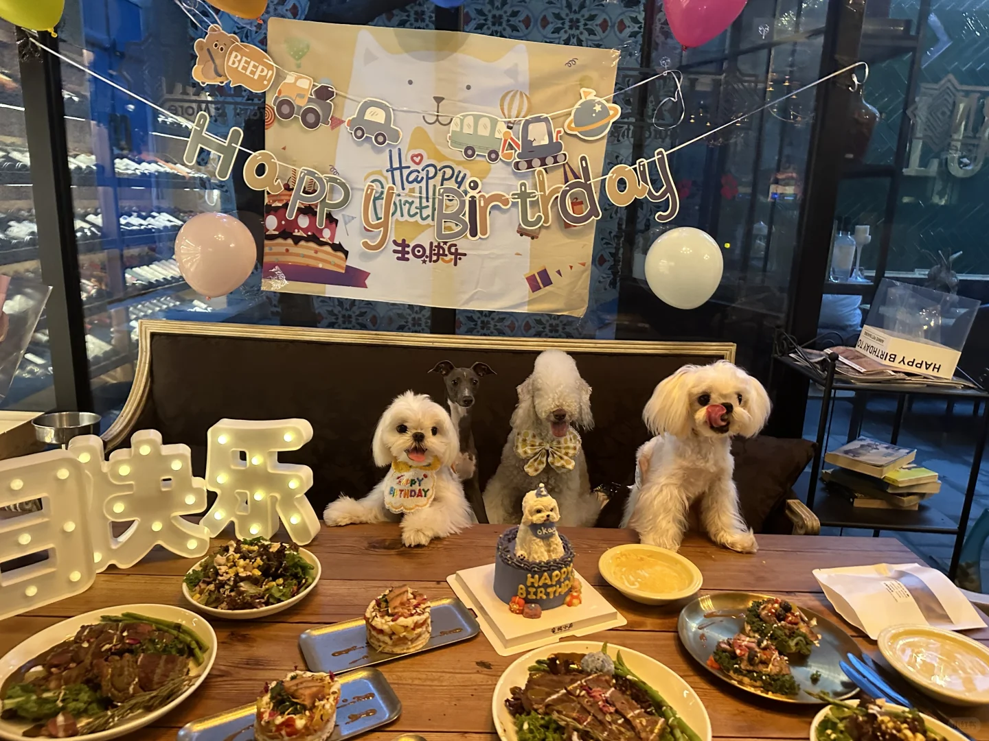 毛孩子过生日的饭店 不要太有仪式感