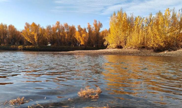 中国每年流失110亿方水，却被邻国拦截建水库，规模超过三峡。

一条河流，从来都