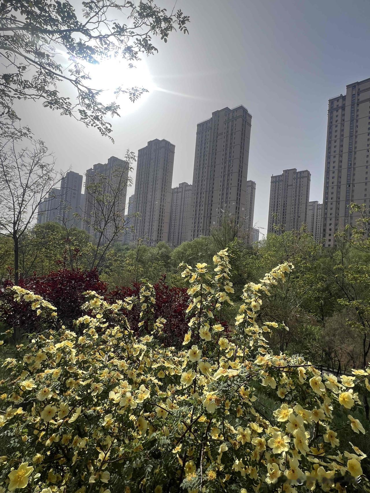 无论是一花一草还是一树一木，都是生命的延续与轮回。爱是永恒不变的约定，爱自己爱家