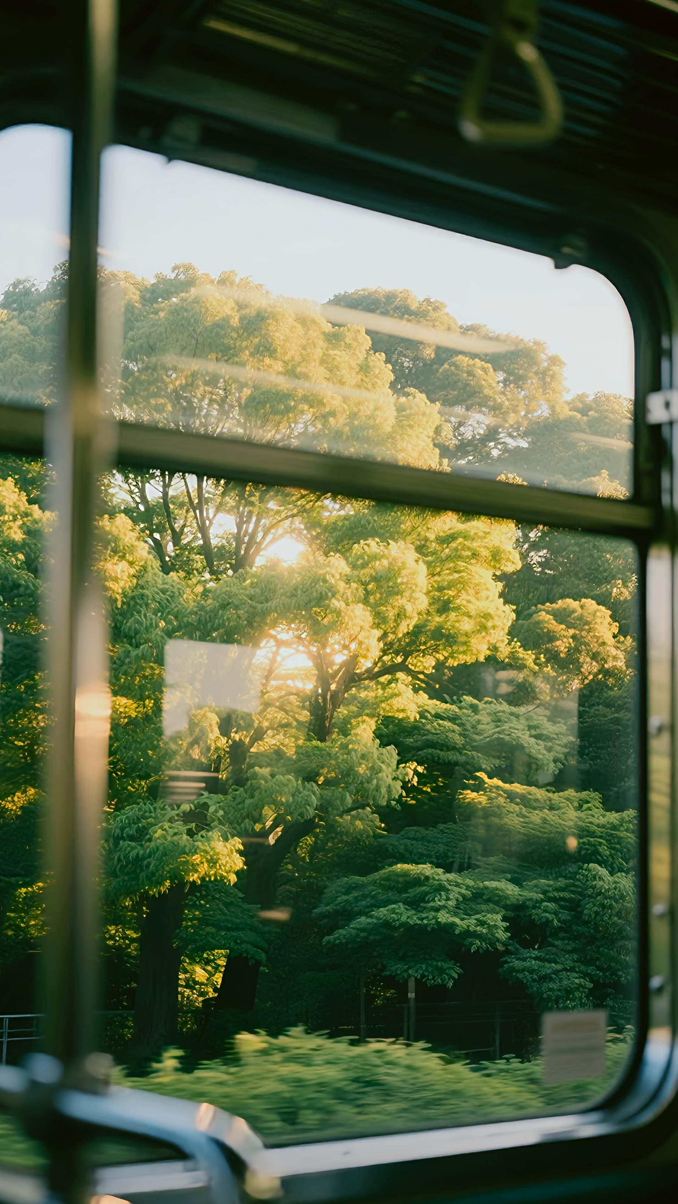 特快列车，六月，一个平静的傍晚。夕光和平地撤退，鹿在森林边。期待夏日的清晨，闪闪
