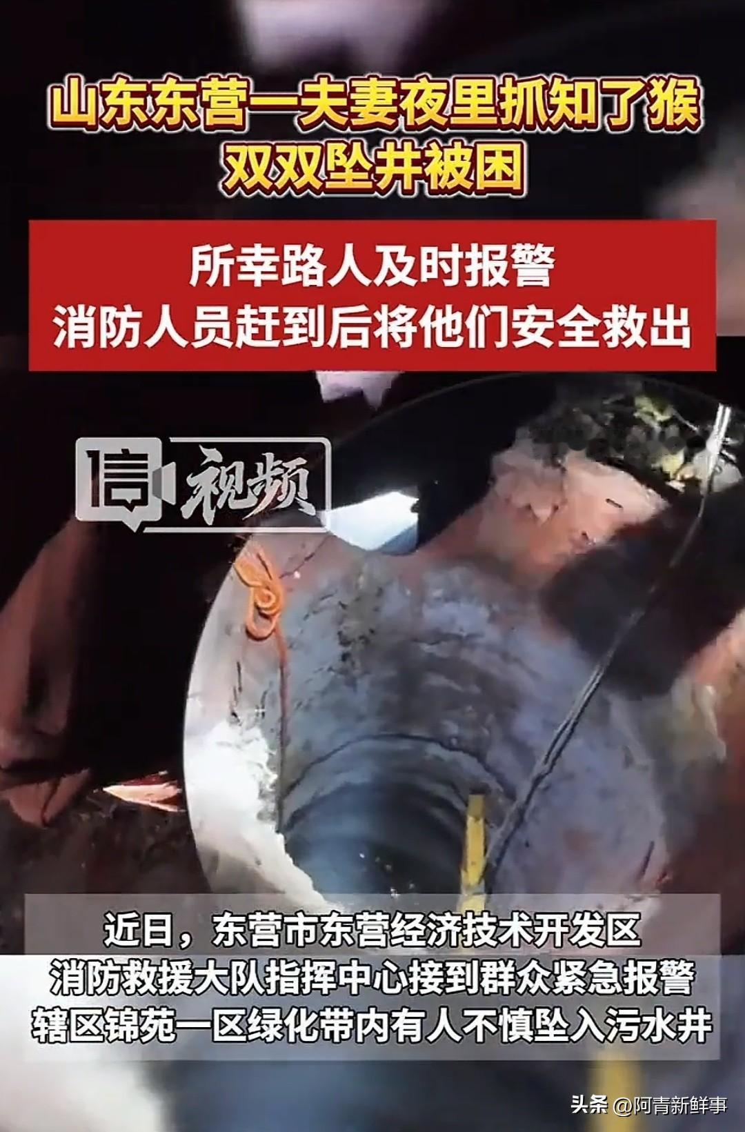 深夜在小区绿化带摸知了猴，妻子一秒消失在黑暗里，丈夫紧跟着就跳了下去……可当消防