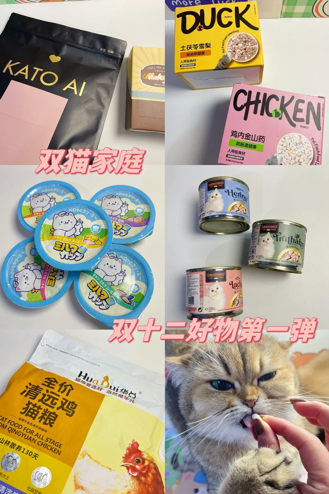 双猫家庭｜双十二shopping第一弹