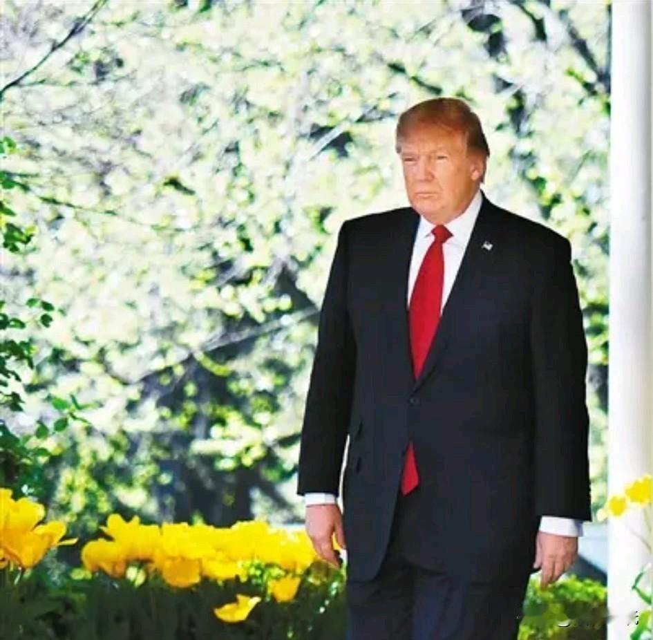 特朗普获委拉瑞拉三千万桶石油感赋

镜中霸业幻兼真，黑金棋局气象新。
云外槎通资