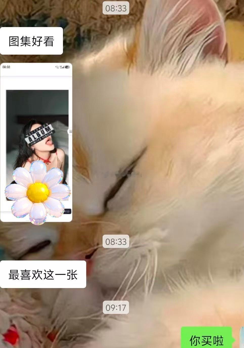 前后都有人的情况下看粉丝反馈也是有点心慌 