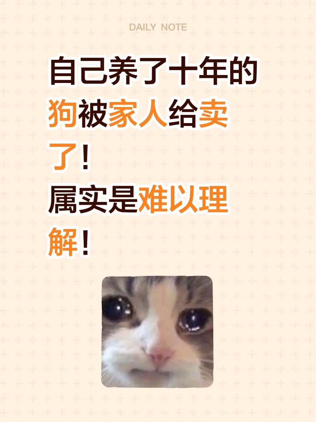 自己养了十年的狗被家人给卖了！属实是难以理解！狗狗是人类最忠实的朋友 养狗家庭 