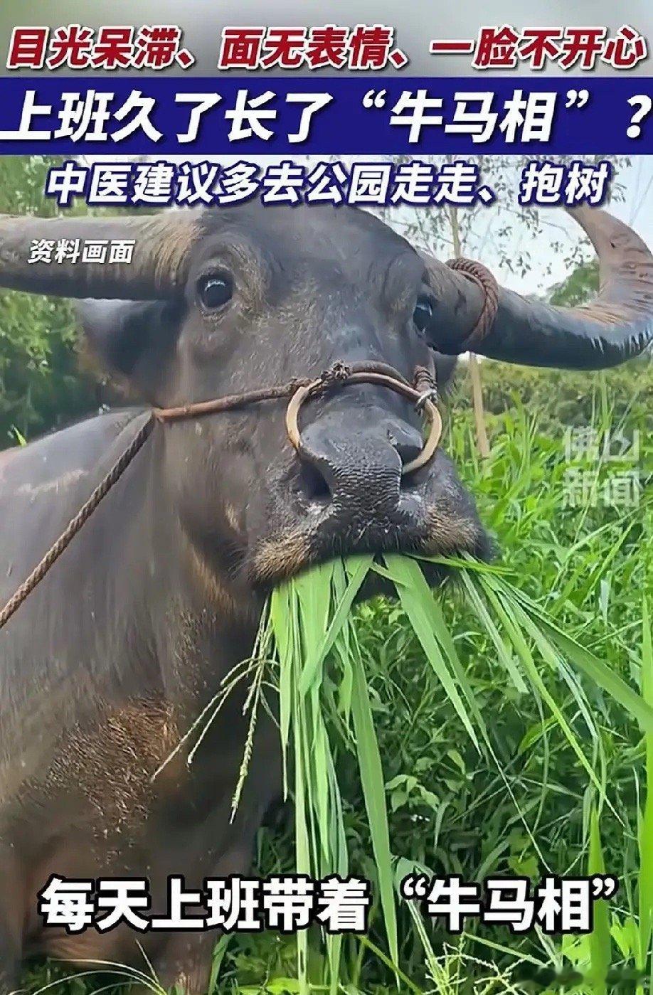 2026年8月20日底部放倍量上涨前101. 南京商旅——日倍量5.13，旅游综