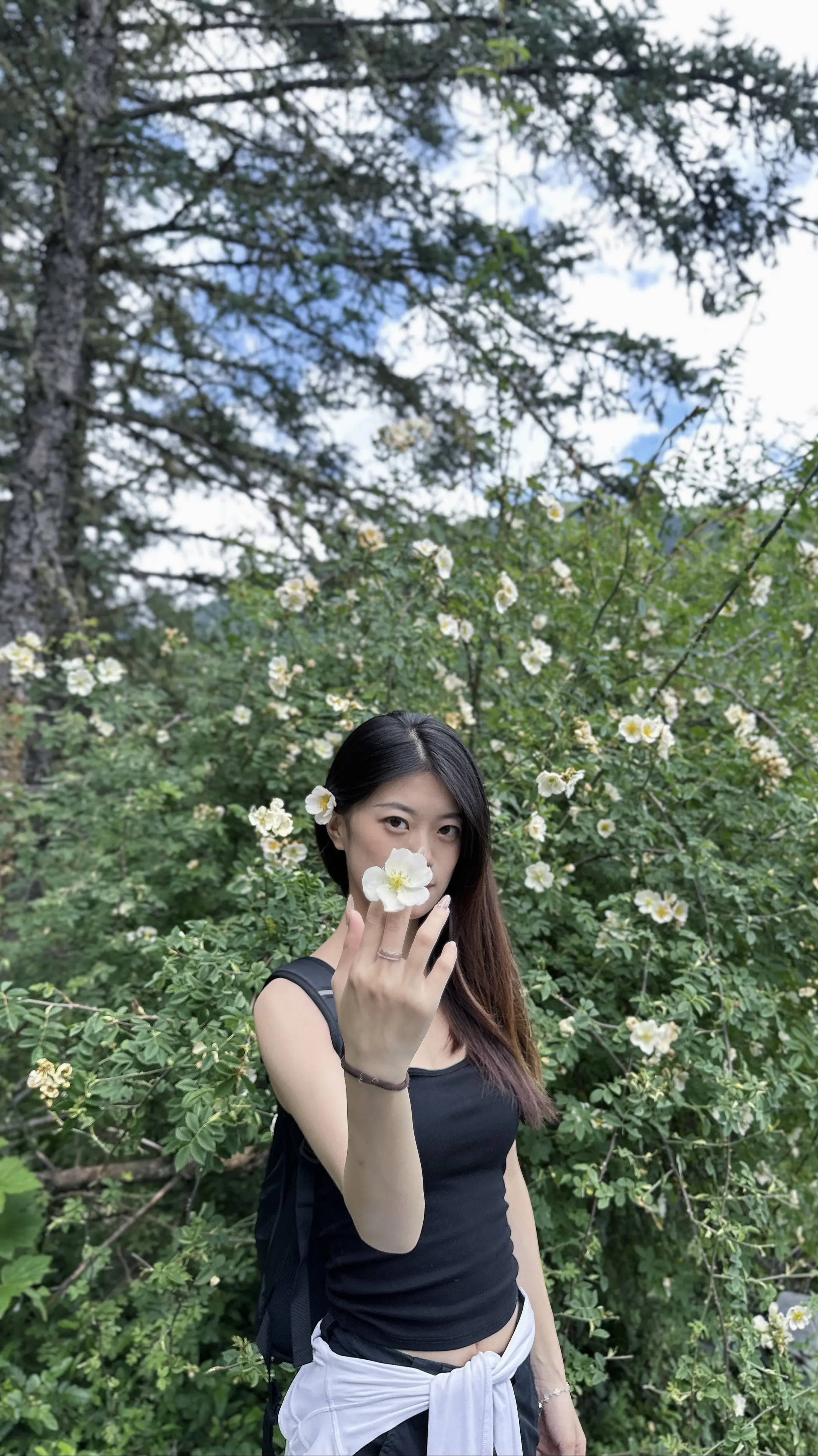 这个我有发言权