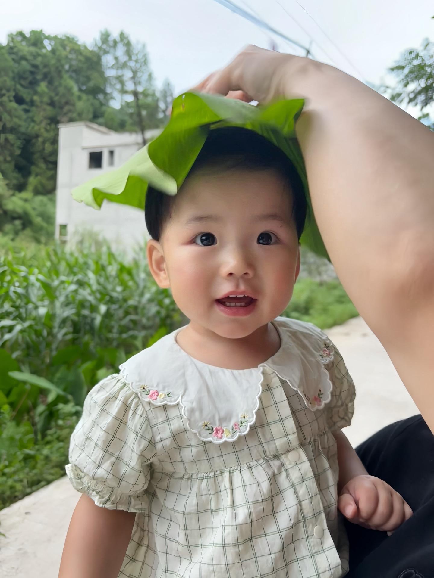 大树说50岁生孩子最好，刚好退休，又有退休金，又有时间带孩子，孩子结婚...