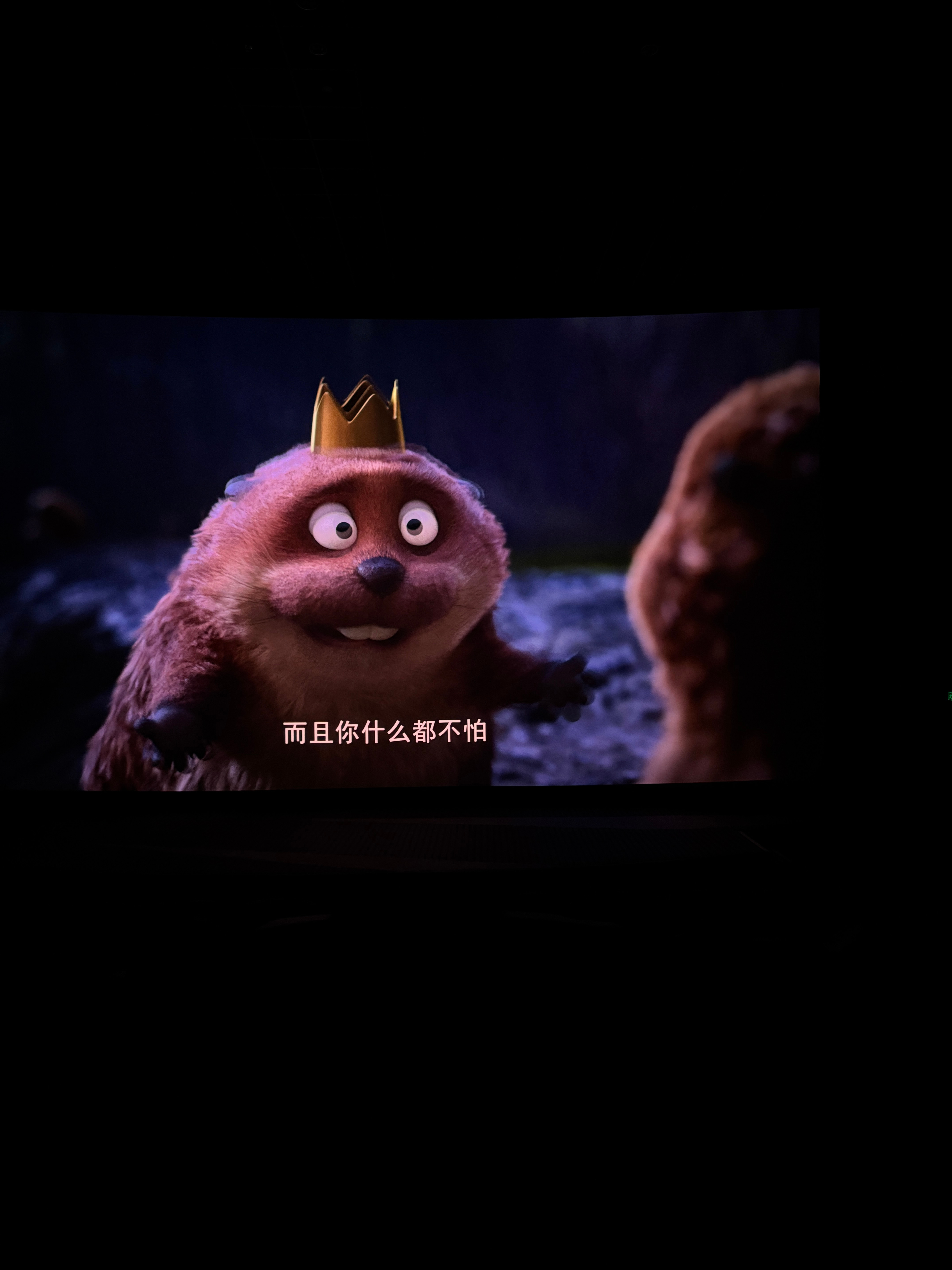 乔治真的是超级超级真诚包容善良的国王🦫🦫🪵🪵 