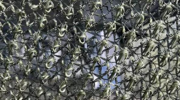 乌克兰无人机在天上横行的日子到头了？

谁也没料到，终结它们的不是激光武器，不是