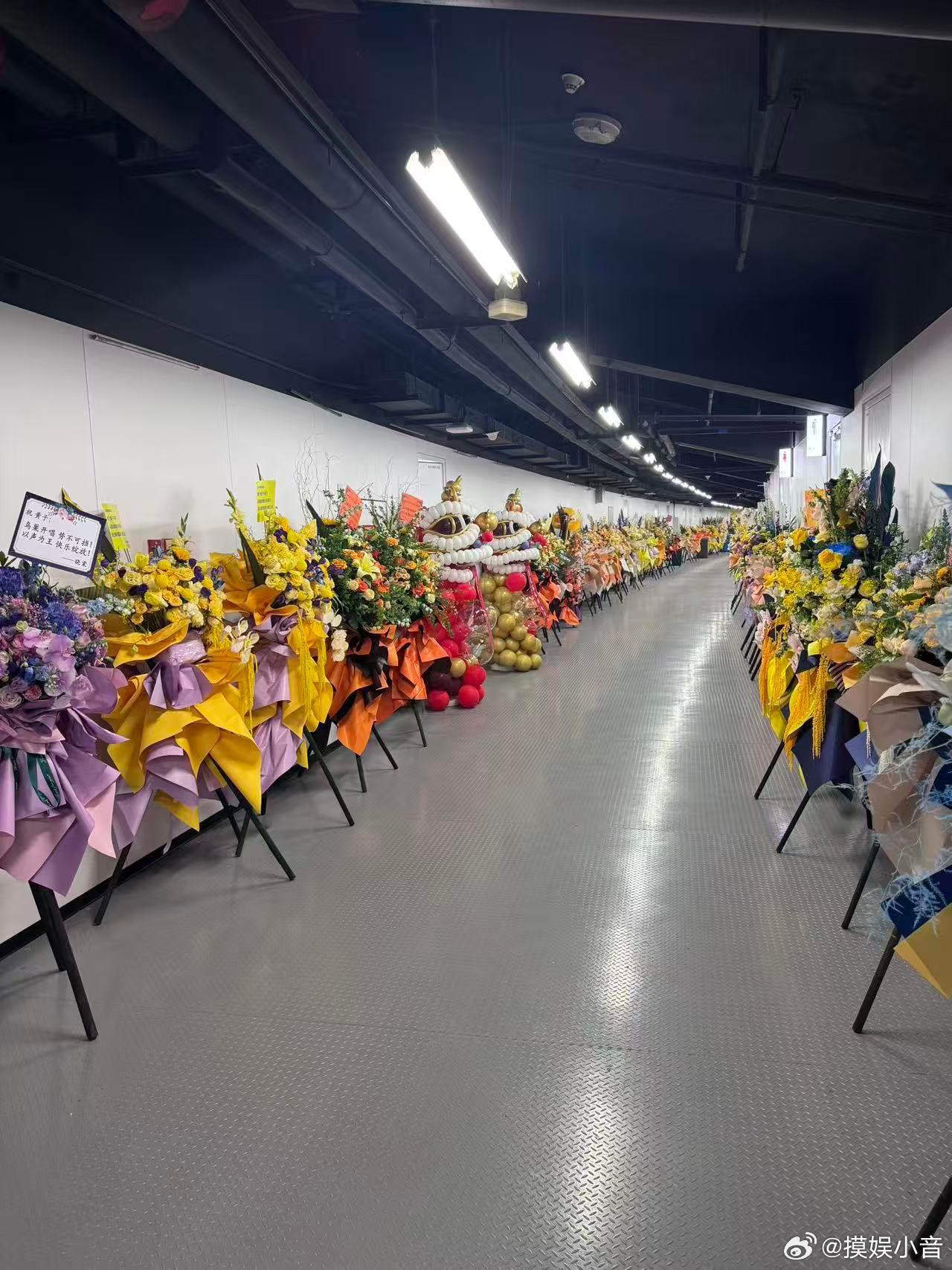 黄子弘凡说鸟巢是新的起点 鸟巢花篮vlog大放送！这阵容简直是业内认证大合集！明