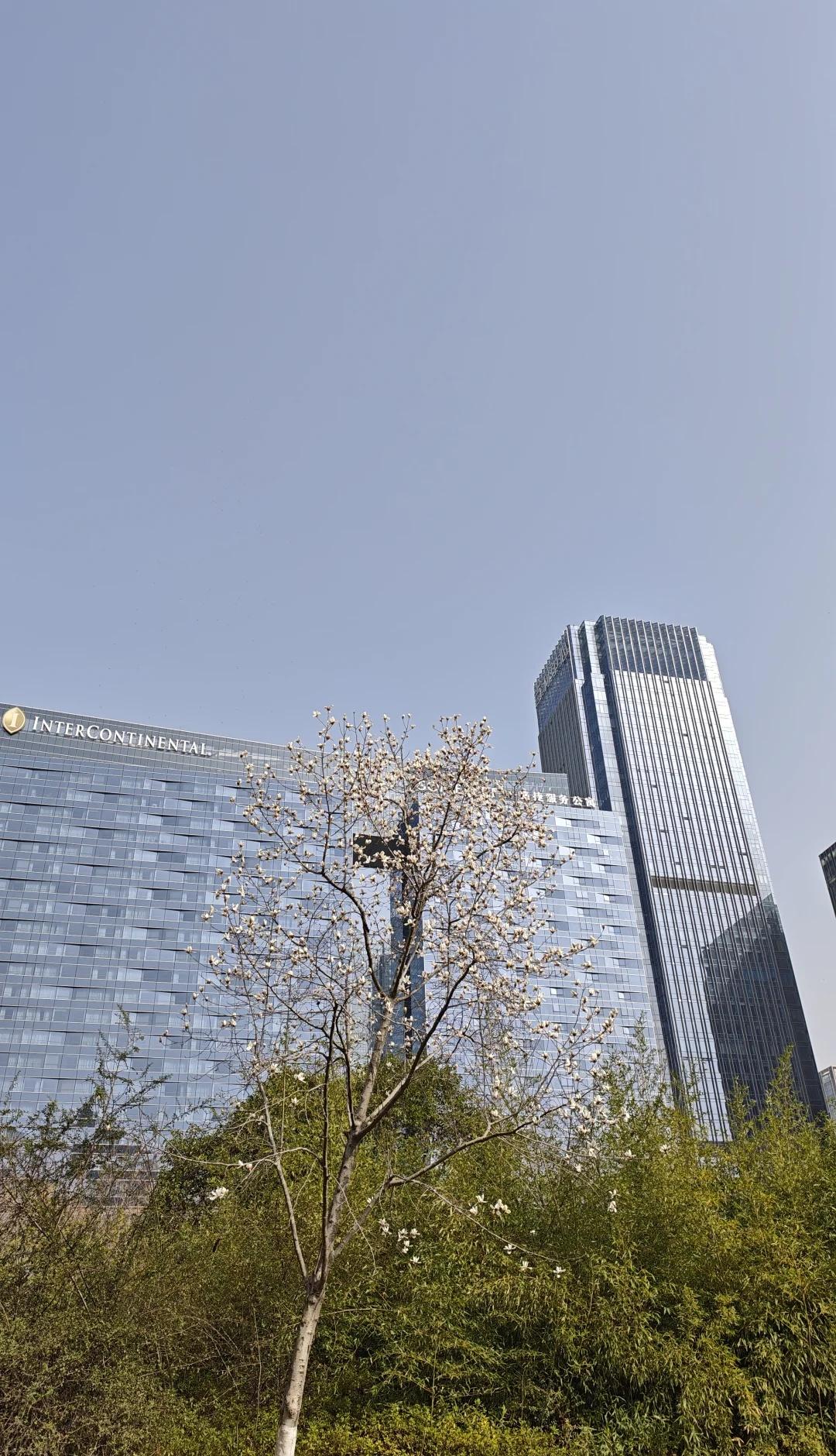 合肥也能雾霾天🌫扬沙