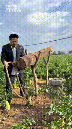 这可比脱裤子放屁费劲多了啊
