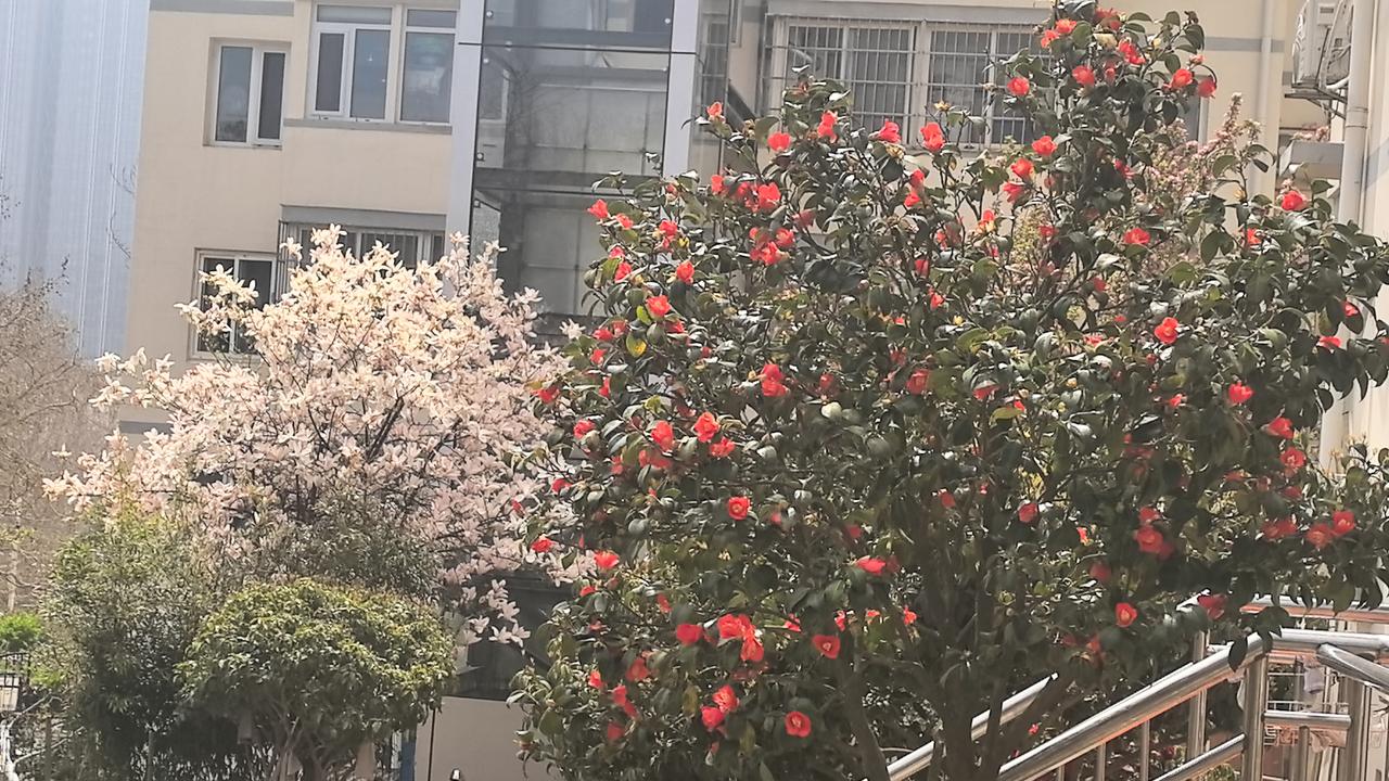 善良的5个特质性格 
心理学研究表明，具有这五个特征的人往往是真正善良的人，而这