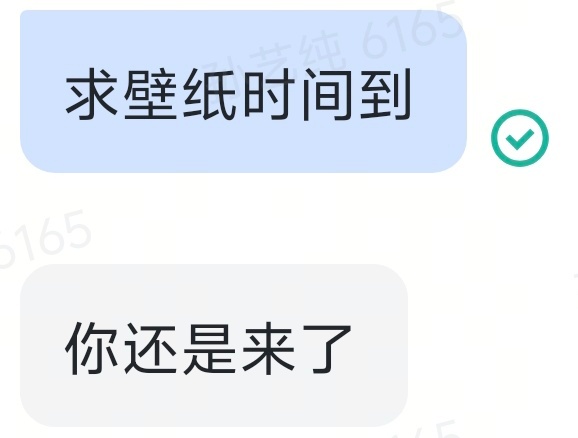 笋寸不语，只是一味地要壁纸 