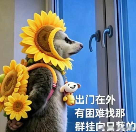 最近铁粉哐哐掉啊估计明天要提醒我了走过路过的棚友们，踢踢我吧刘宇宁献唱fifa世