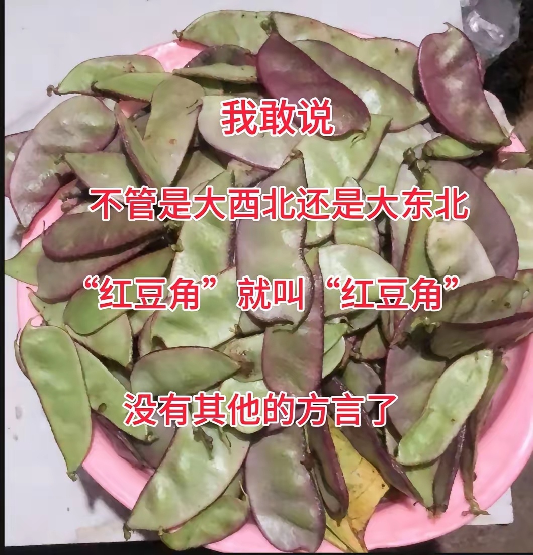 我敢说，不管是大西北还是大东北，红豆角就叫红豆角，没有其他的方言了 