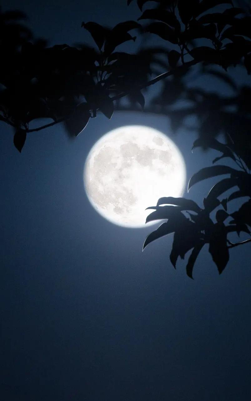 午夜清宁，推窗遥望。
皓月悬空，客怀惆怅。
心起狂澜，千重叠浪，
一腔孤闷，未有