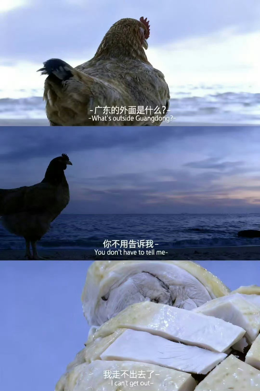 小鸡：山的那边是什么？别说了，我出不去了 ​​​