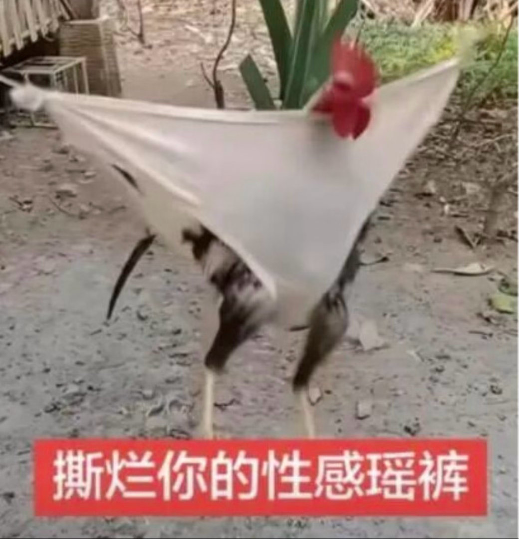 晚上好 我又感冒了 你们在干嘛 ​​​