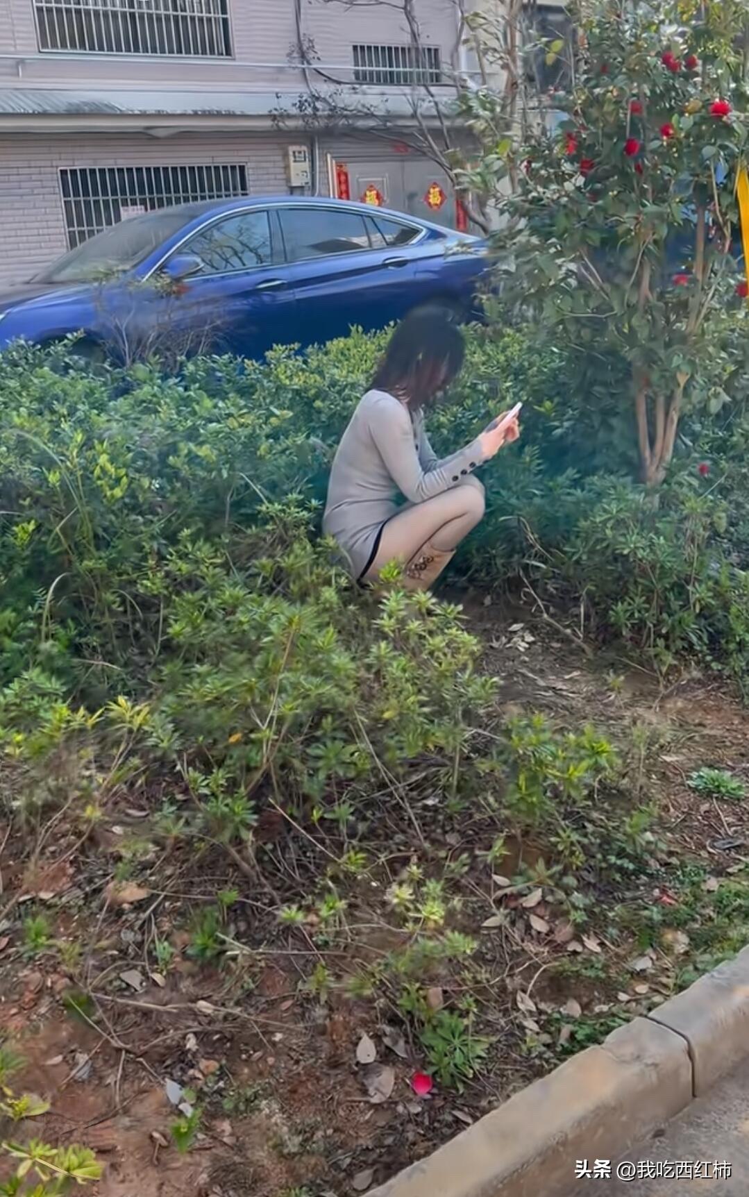 我女邻居蹲在那里干啥
一大早看到我女邻居蹲在小区的花坛里，也不知道她在干啥，咱也