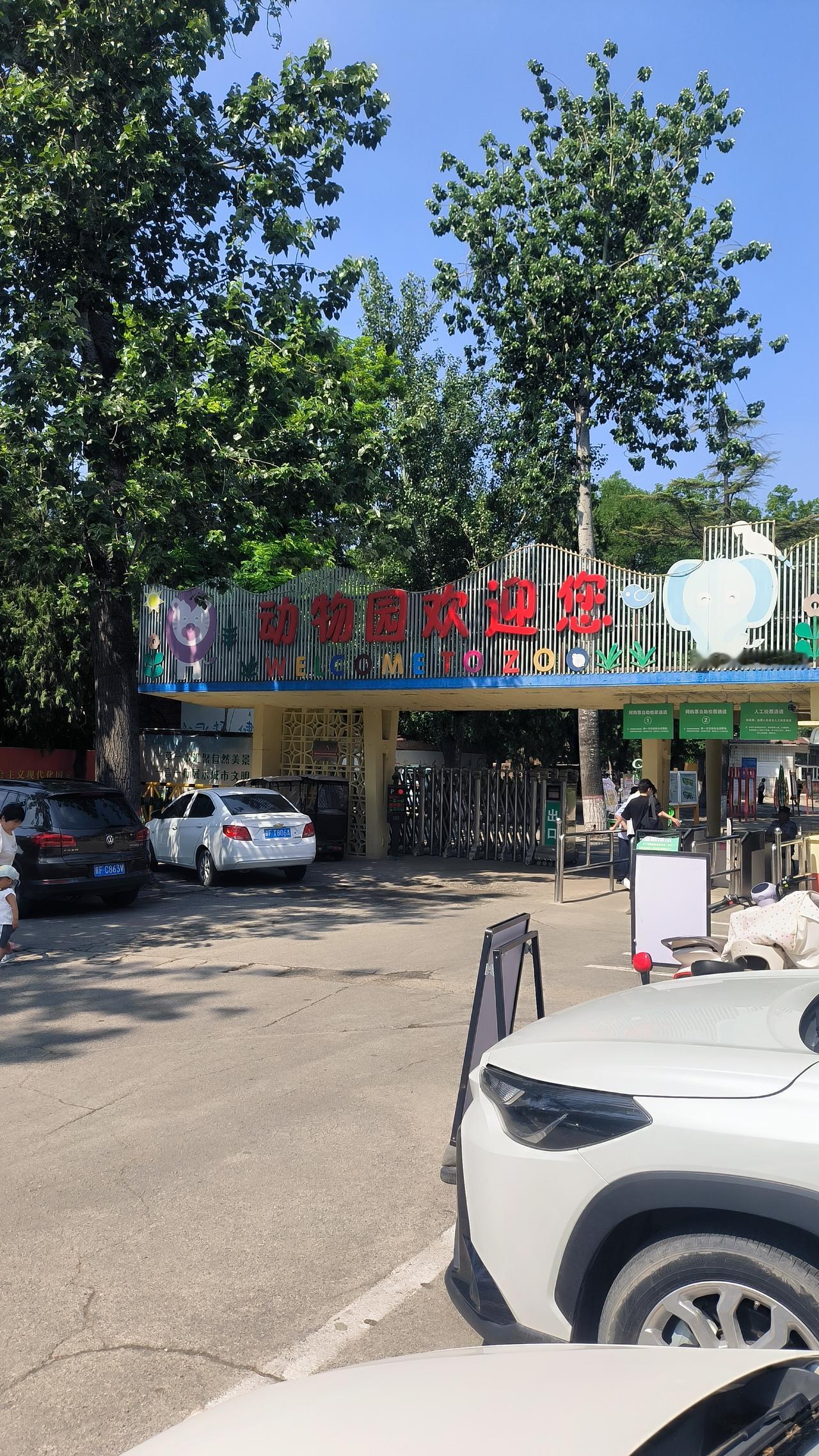 保定动物园搬还是不搬？重游一次后，我的想法彻底变了

重游保定动物园，总让人不可