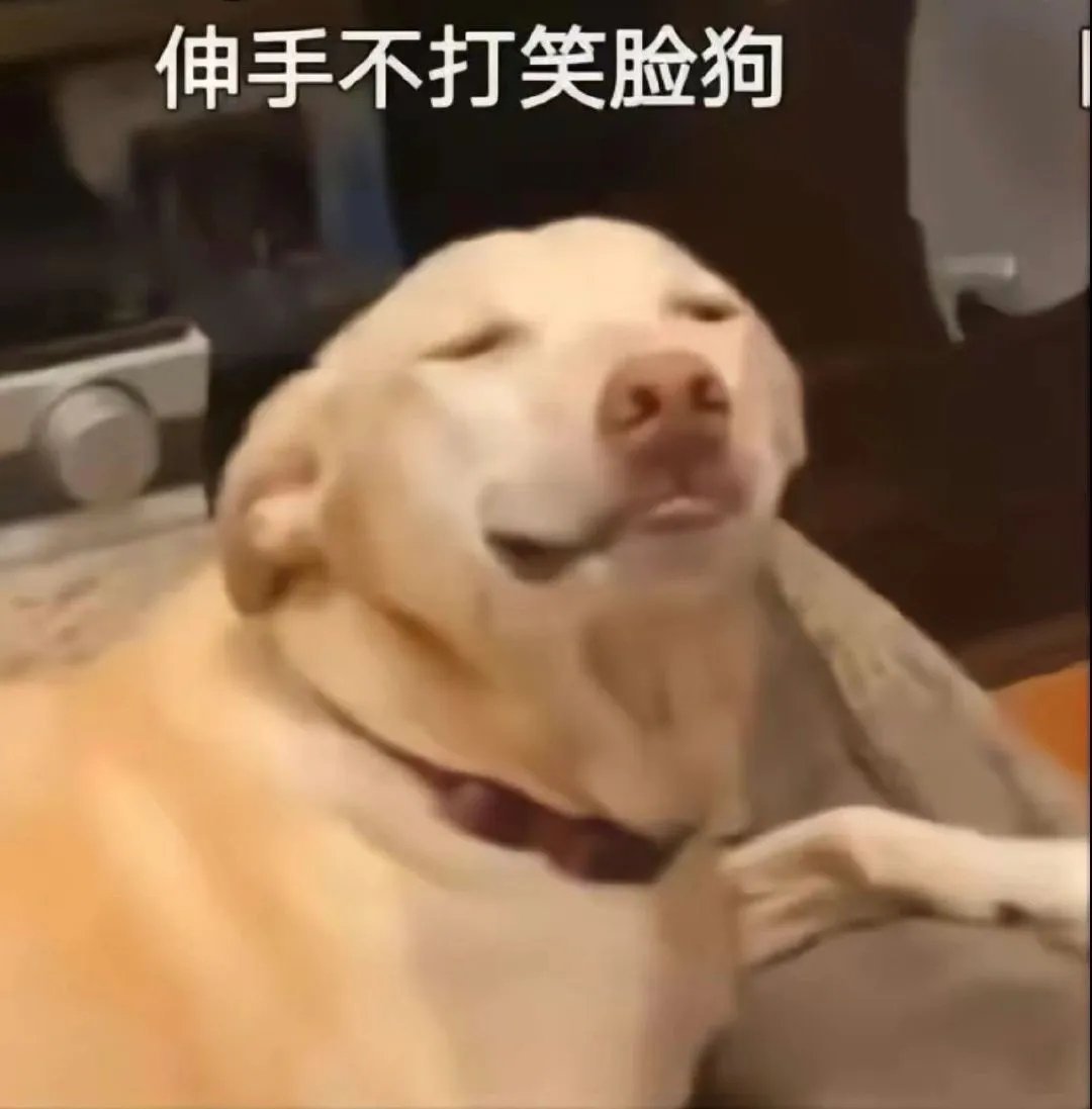 奇怪有趣的聊天表情包来了 ​​​
