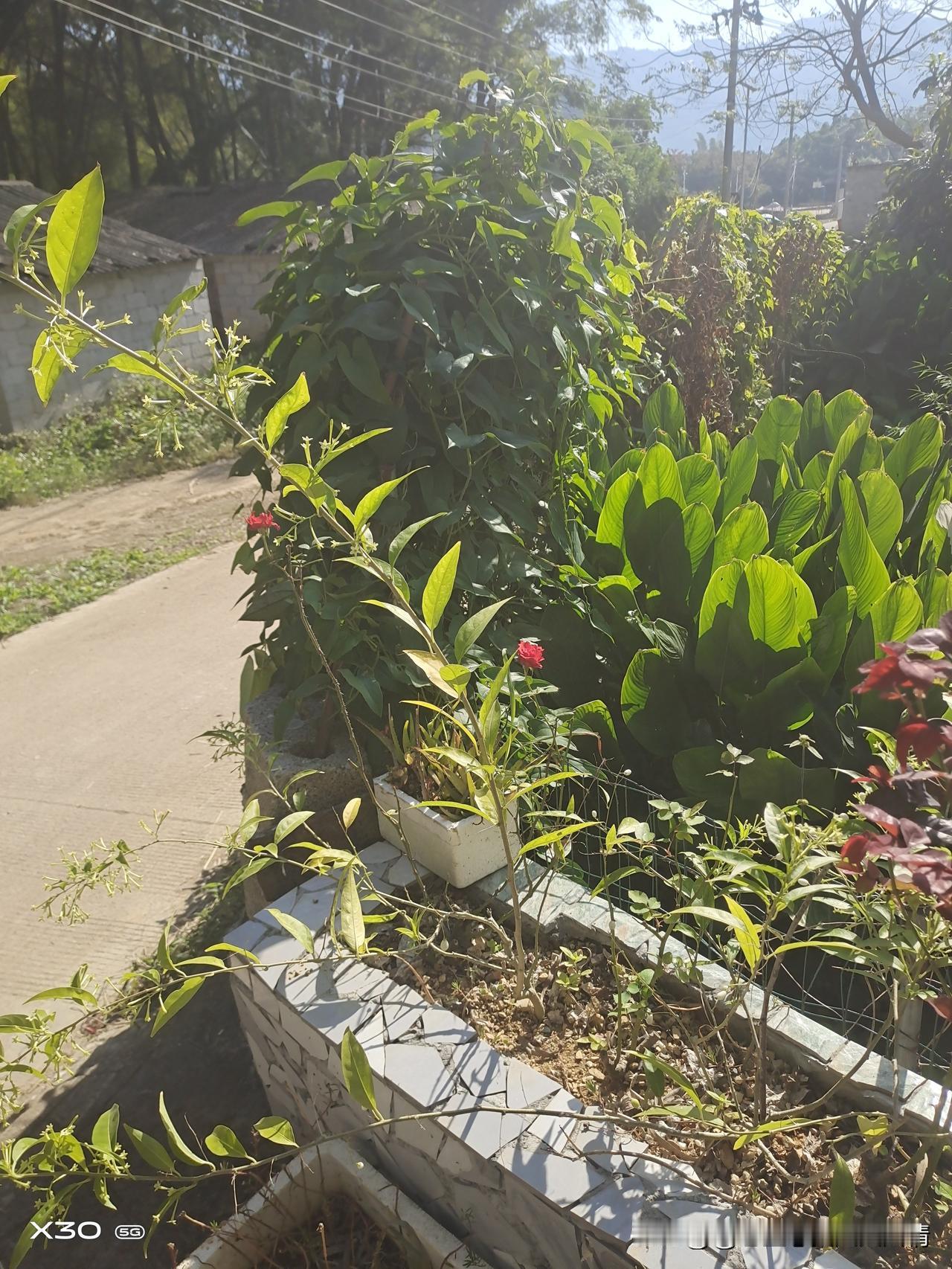 性格像人生的指南针，虽不直接决定终点，却深刻影响方向。乐观者遇挫多寻转机，悲观者